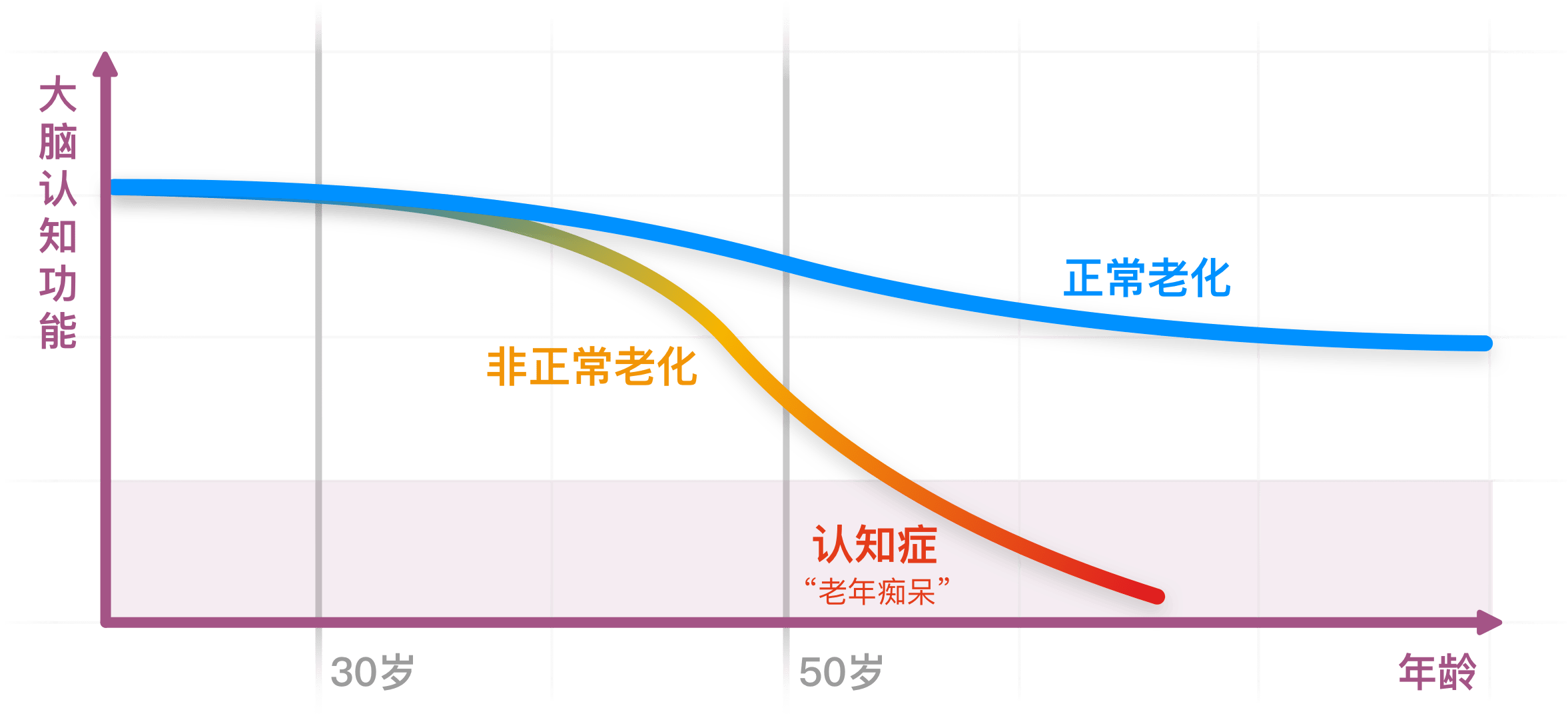 为什么要关注你的大脑健康?